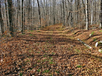 picture taken during a hike