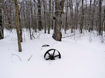 picture taken during a hike