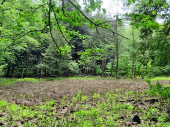 picture taken during a hike