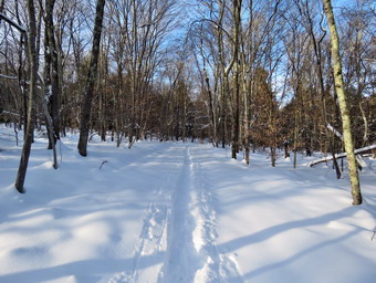 picture taken during a hike