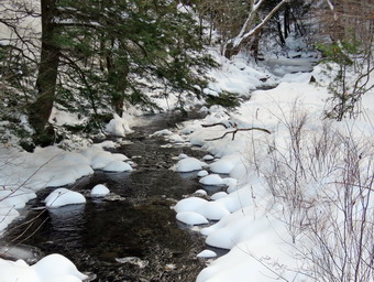 picture taken during a hike