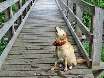 picture taken during a hike