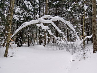 picture taken during a hike