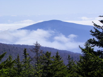 picture taken during a hike