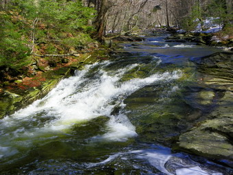 picture taken during a hike