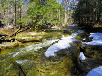 picture taken during a hike