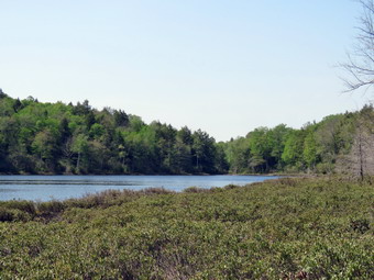 picture taken during a hike