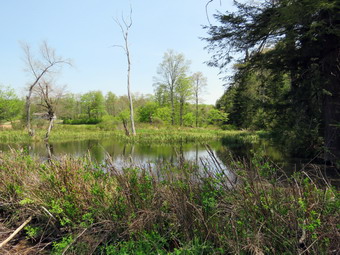 picture taken during a hike