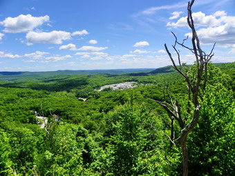 picture taken during a hike