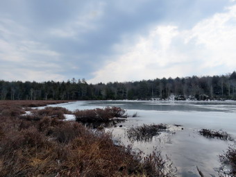 picture taken during a hike