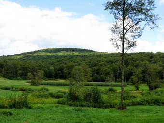 picture taken during a hike