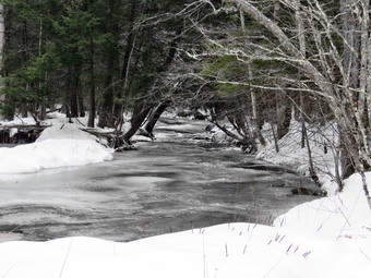 picture taken during a hike