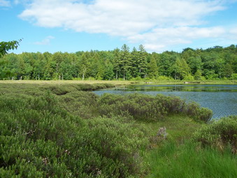 picture taken during a hike