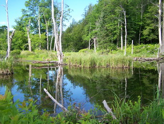 picture taken during a hike