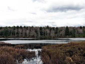 picture taken during a hike