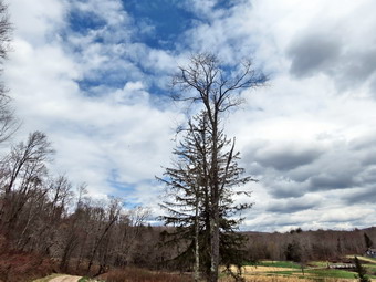 picture taken during a hike