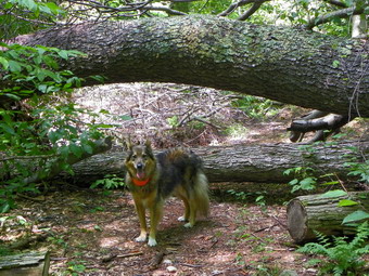 picture taken during a hike