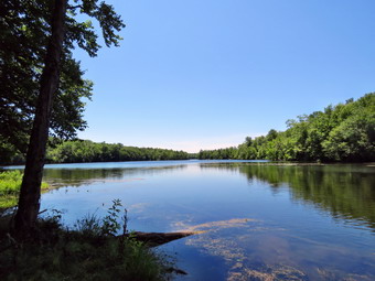 picture taken during a hike