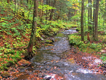 picture taken during a hike