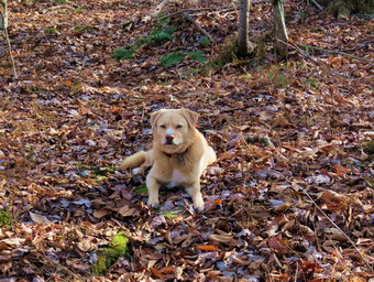 picture taken during a hike