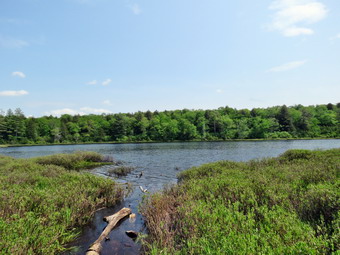 picture taken during a hike