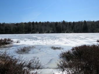 picture taken during a hike