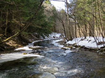 picture taken during a hike