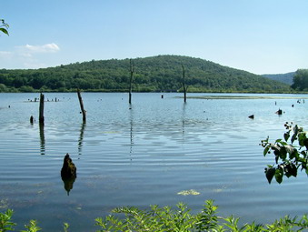 picture taken during a hike