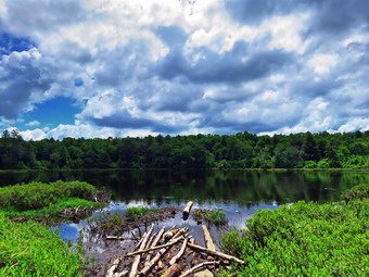 picture taken during a hike