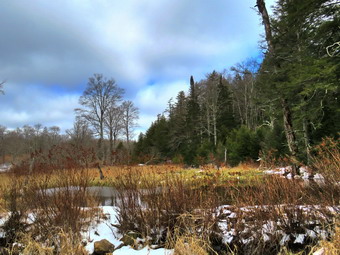 picture taken during a hike