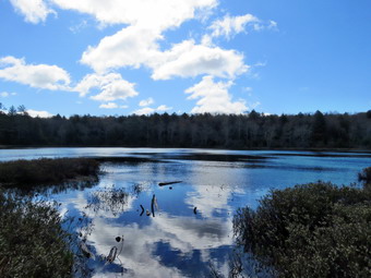 picture taken during a hike