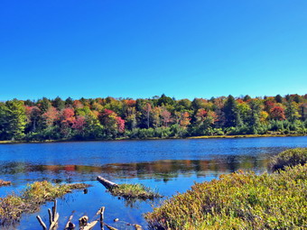 picture taken during a hike