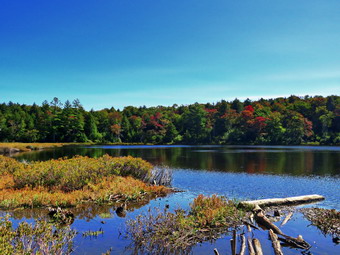 picture taken during a hike