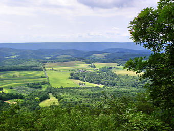 picture taken during a hike