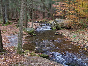 picture taken during a hike