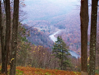 picture taken during a hike