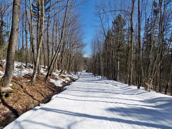 picture taken during a hike