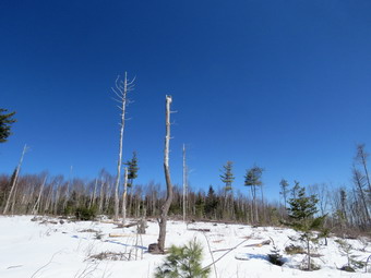 picture taken during a hike