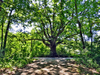 picture taken during a hike