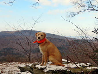 picture taken during a hike