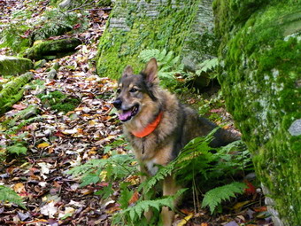 picture taken during a hike