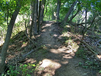 picture taken during a hike