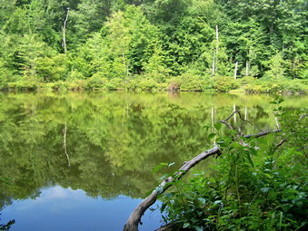 picture taken during a hike