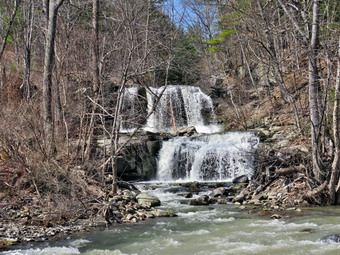 picture taken during a hike