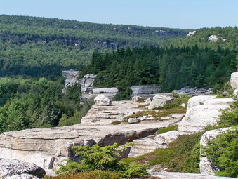 picture taken during a hike