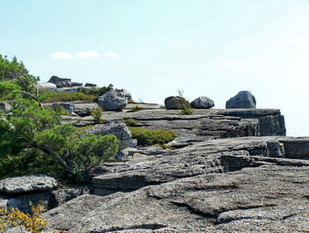 picture taken during a hike