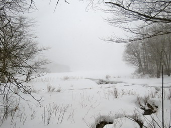 picture taken during a hike