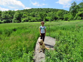 picture taken during a hike