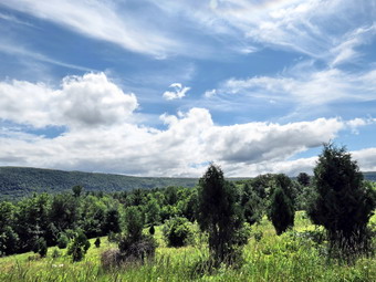 picture taken during a hike