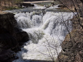 picture taken during a hike